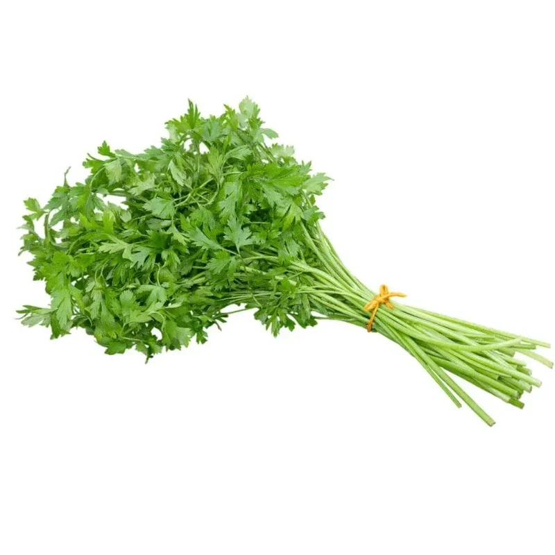 Salsinha Fresca – Maço