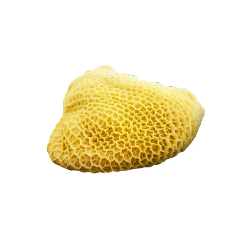 Bucho Françês Bovino Congelado – Peça